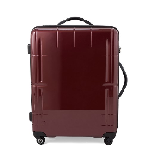 プロテカ(エース) スタリアV 100L ワイン