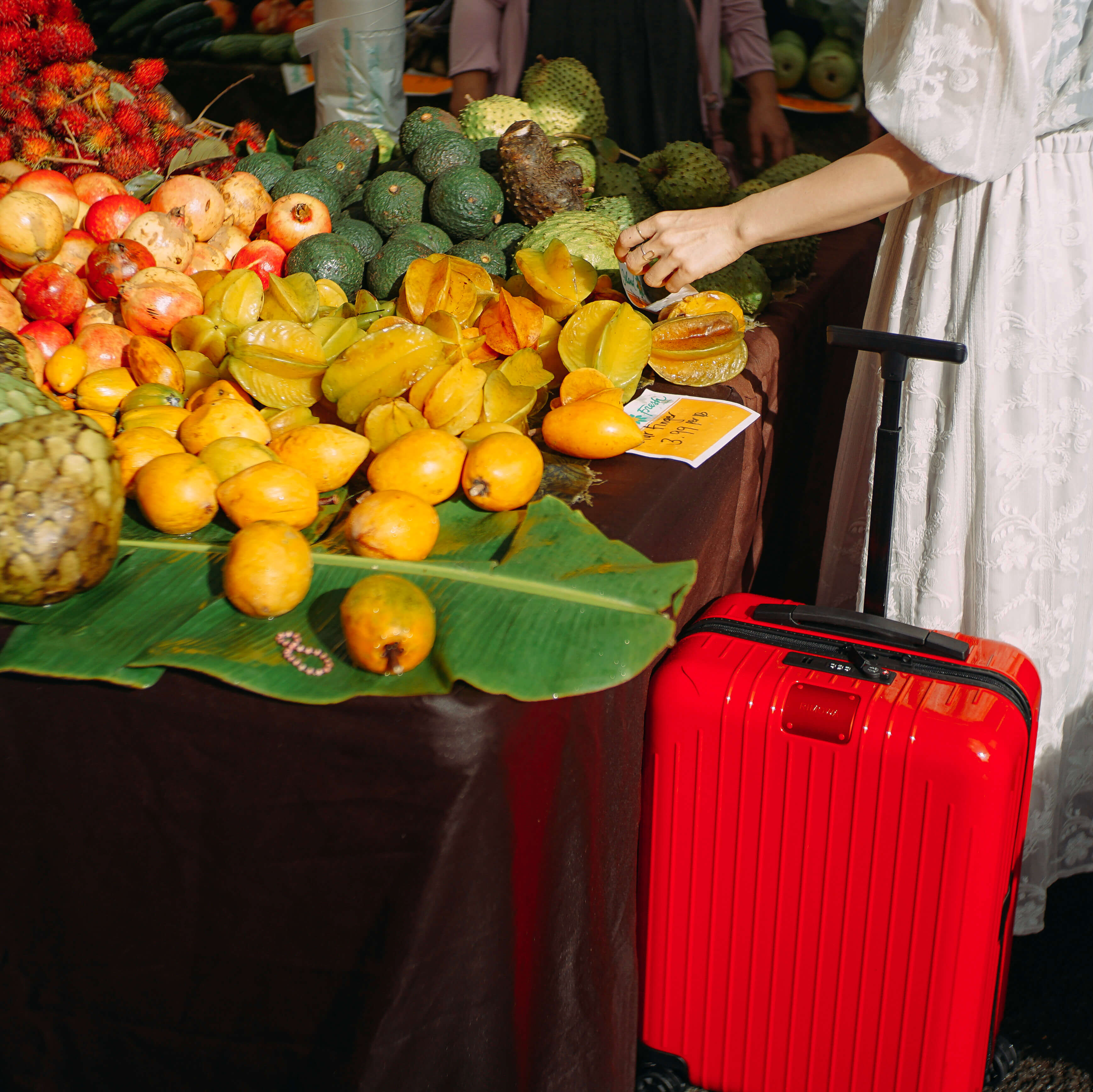 リモワ エッセンシャルライト RIMOWA Essential Lite レッド使用例